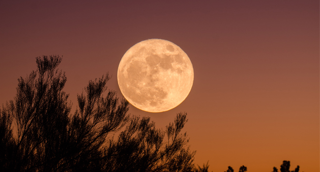 August: Sturgeon Moon 🐟